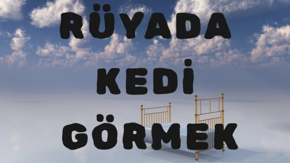 R&uuml;yada Kedi G&ouml;rmek Ne Anlama Gelir?