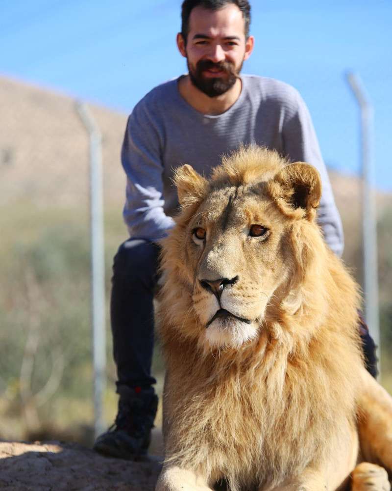 &ldquo;Sevdiğim en enteresan hayvan, Puhu kuşuydu.&rdquo; G&ouml;rd&uuml;ğ&uuml; T&uuml;m Hayvanları Sevmeye &Ccedil;alışan Gezgin: Harun K&ouml;ybaşı